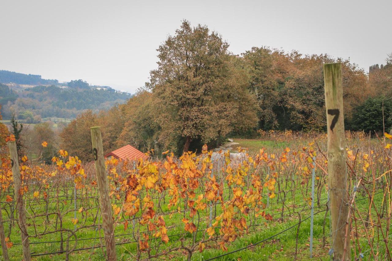 Quinta Pousada De Fora Wines & Tourism Γκιμαράες Εξωτερικό φωτογραφία