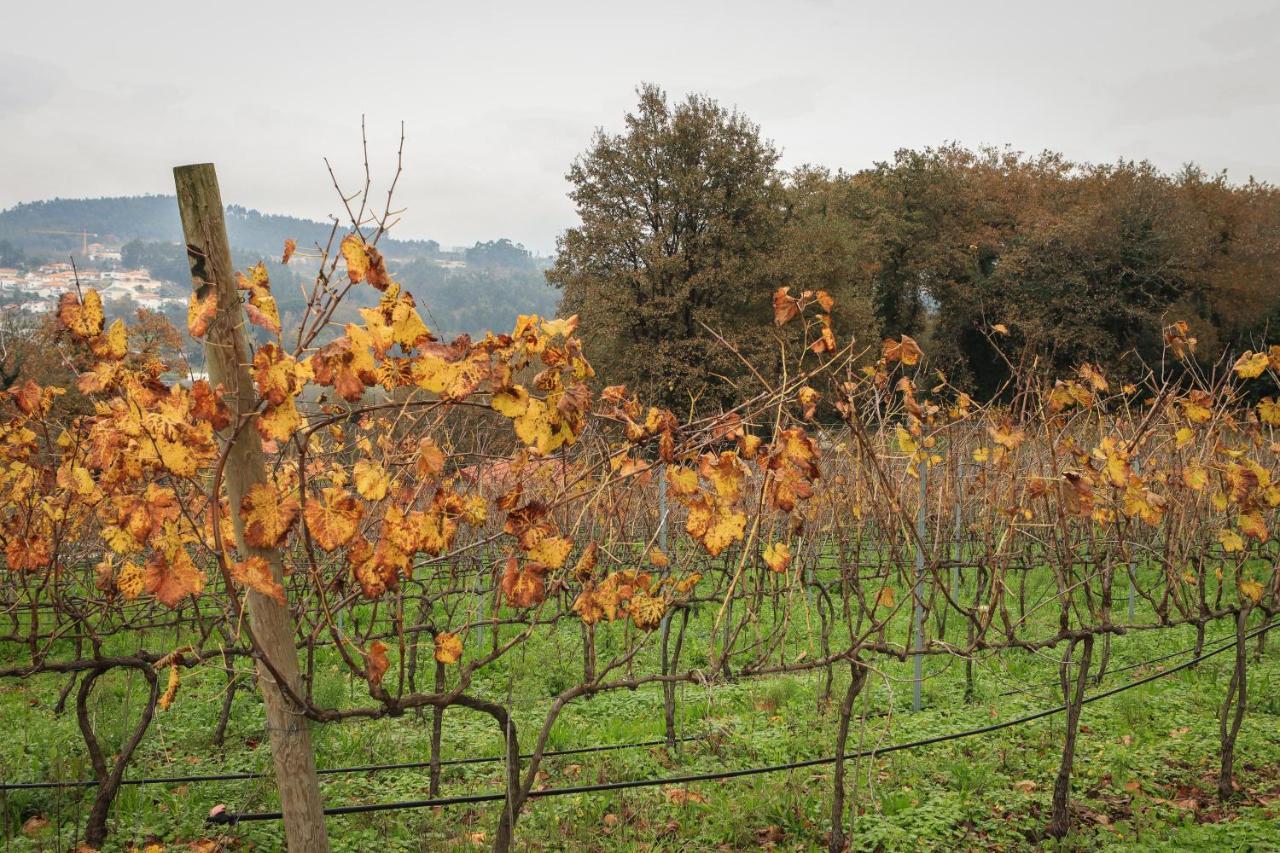 Quinta Pousada De Fora Wines & Tourism Γκιμαράες Εξωτερικό φωτογραφία