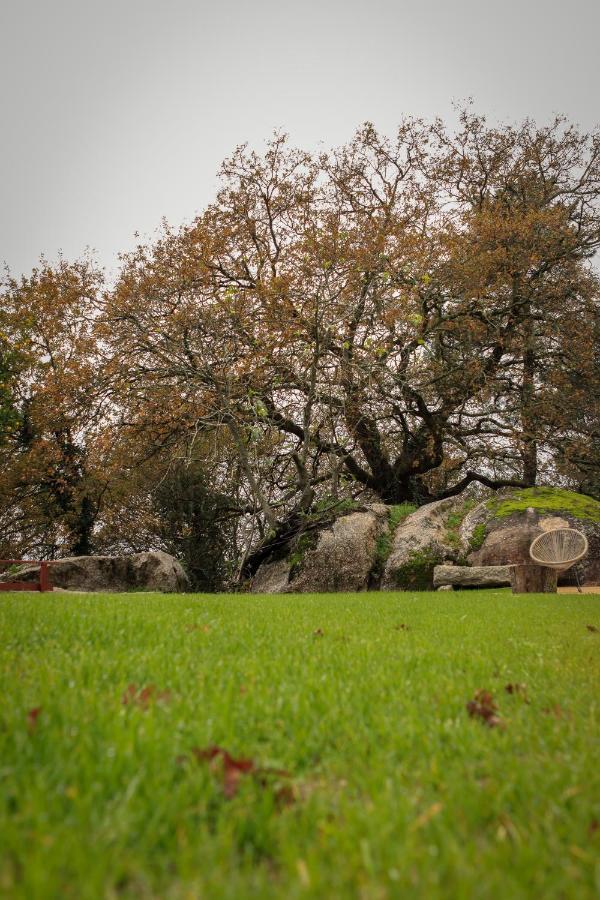 Quinta Pousada De Fora Wines & Tourism Γκιμαράες Εξωτερικό φωτογραφία