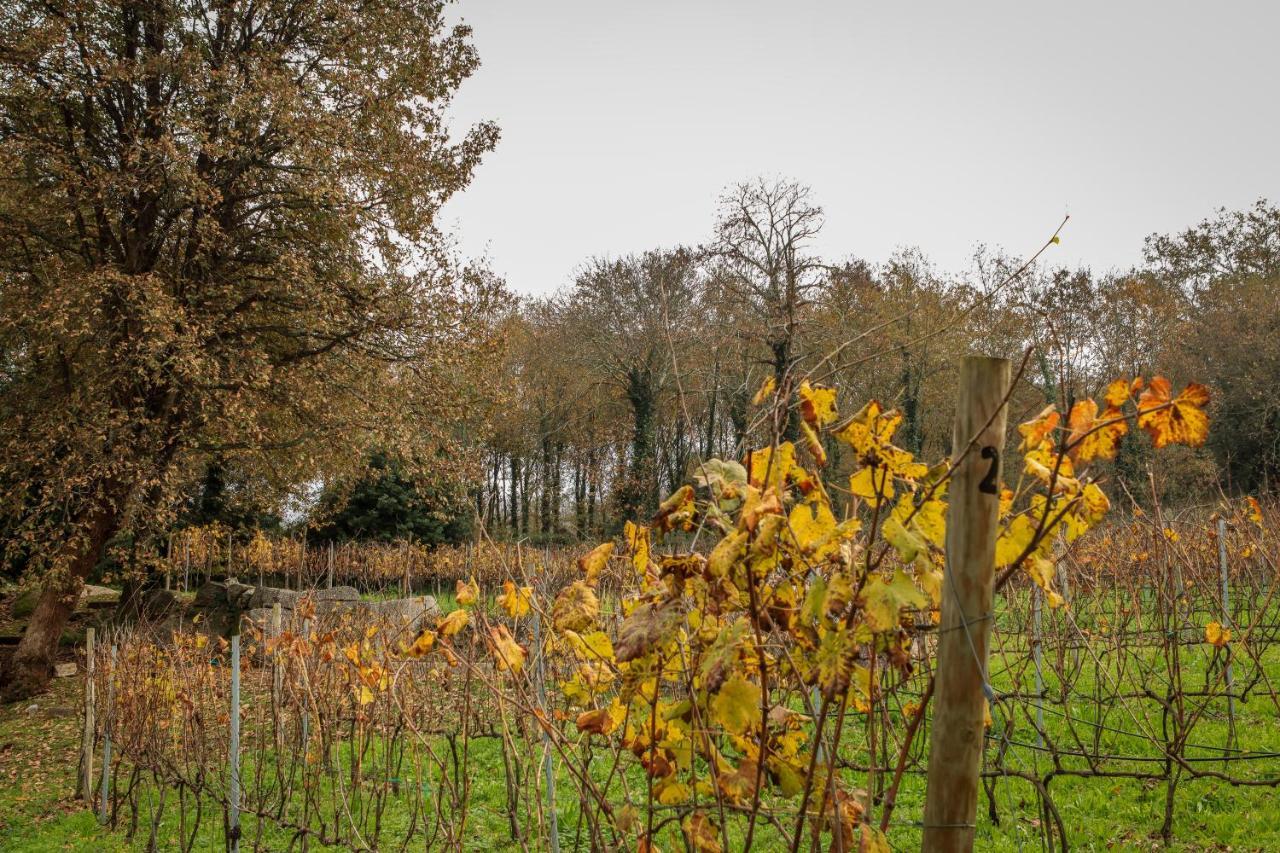 Quinta Pousada De Fora Wines & Tourism Γκιμαράες Εξωτερικό φωτογραφία