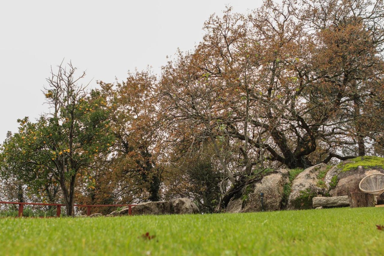 Quinta Pousada De Fora Wines & Tourism Γκιμαράες Εξωτερικό φωτογραφία