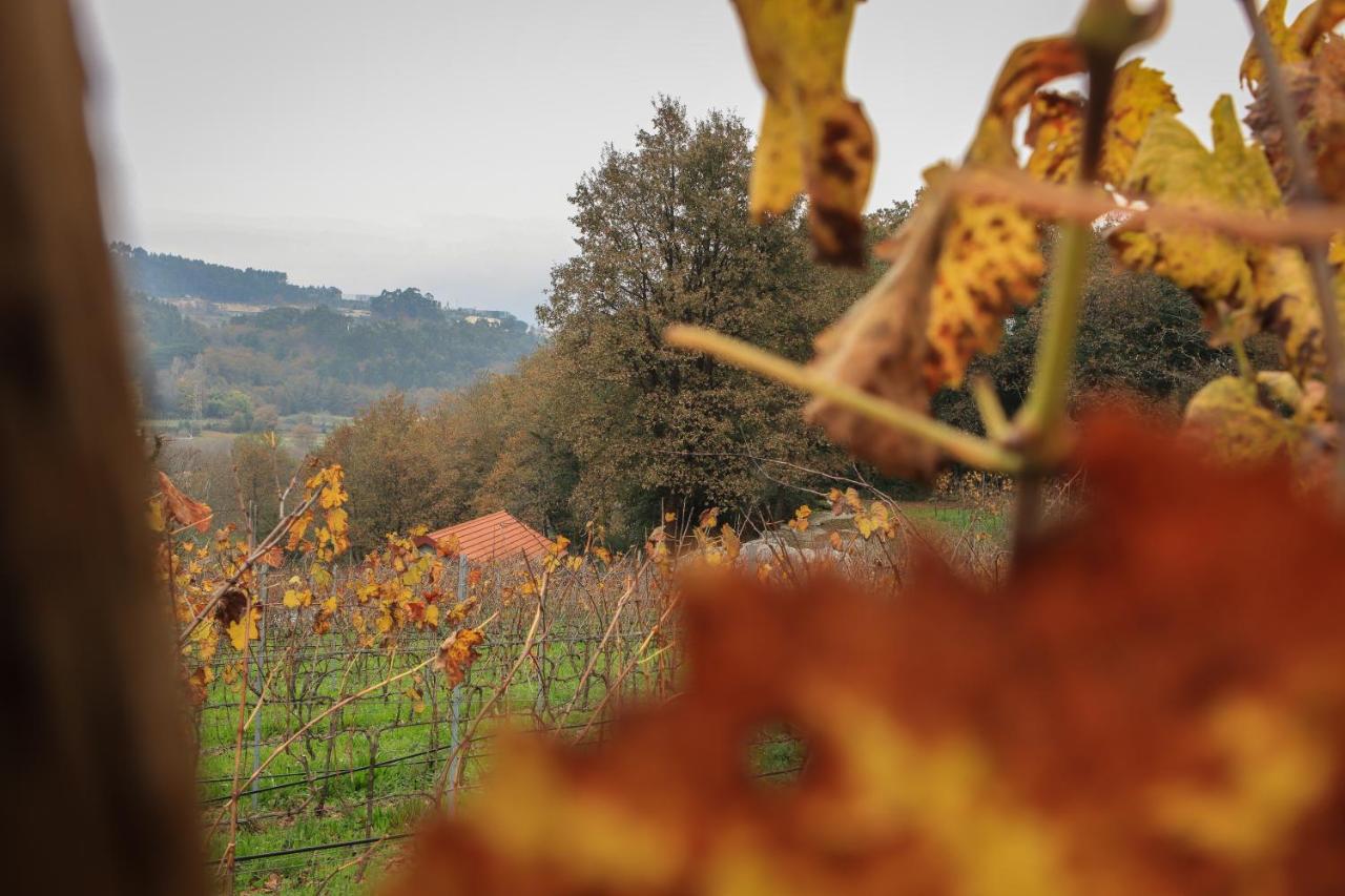 Quinta Pousada De Fora Wines & Tourism Γκιμαράες Εξωτερικό φωτογραφία