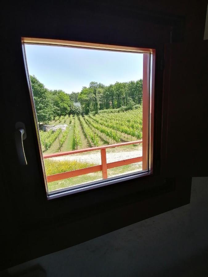 Quinta Pousada De Fora Wines & Tourism Γκιμαράες Εξωτερικό φωτογραφία