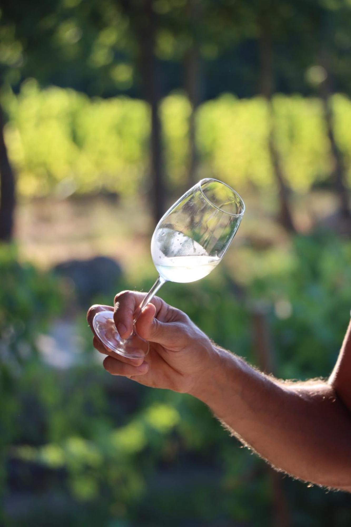 Quinta Pousada De Fora Wines & Tourism Γκιμαράες Εξωτερικό φωτογραφία