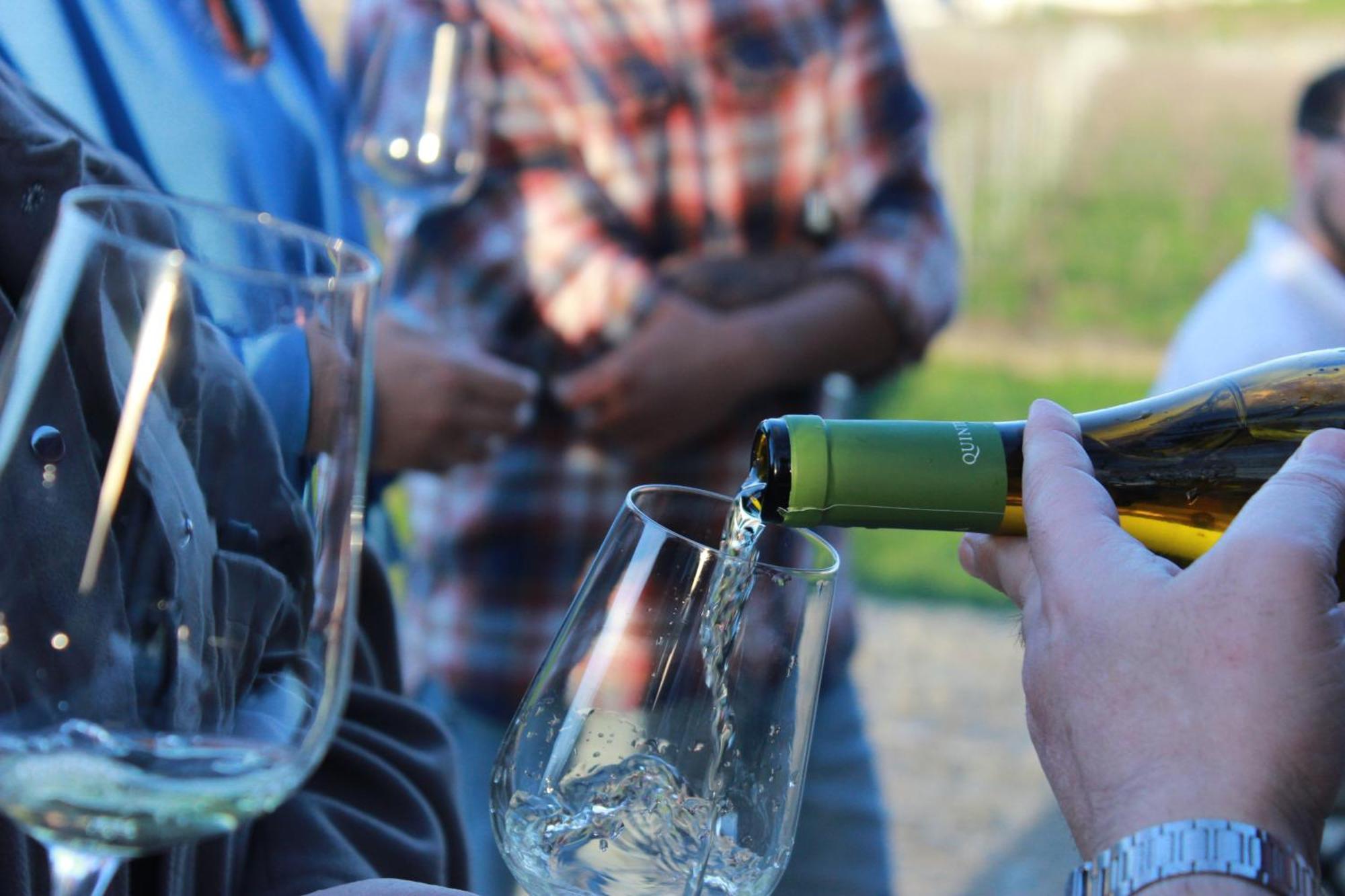 Quinta Pousada De Fora Wines & Tourism Γκιμαράες Εξωτερικό φωτογραφία